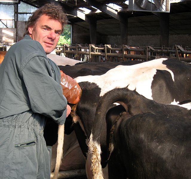 Tierärztliche Gemeinschaftspraxis Rind