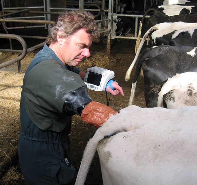 Tierärztliche Gemeinschaftspraxis Nutztier Rind