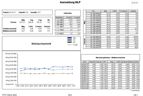 MLP Auswertung 02
