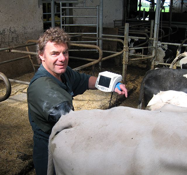 Tierärztliche Gemeinschaftspraxis Nutztier Rind