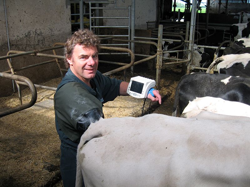 Tierärztliche Gemeinschaftspraxis Nutztier Rind