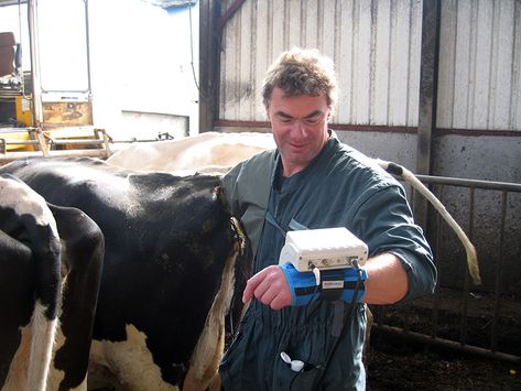 Tierärztliche Gemeinschaftspraxis Nutztier Rind